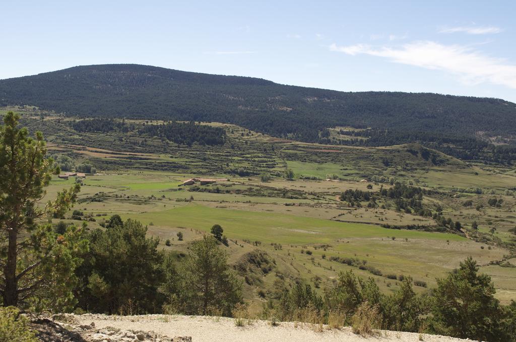 テルエル Casa Rural El Olmoゲストハウス エクステリア 写真